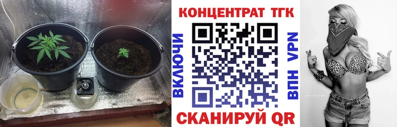 KRAKEN tor  Ветлуга  ТГК Wax 