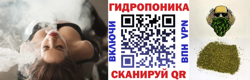 Бошки марихуана сатива  Ветлуга 